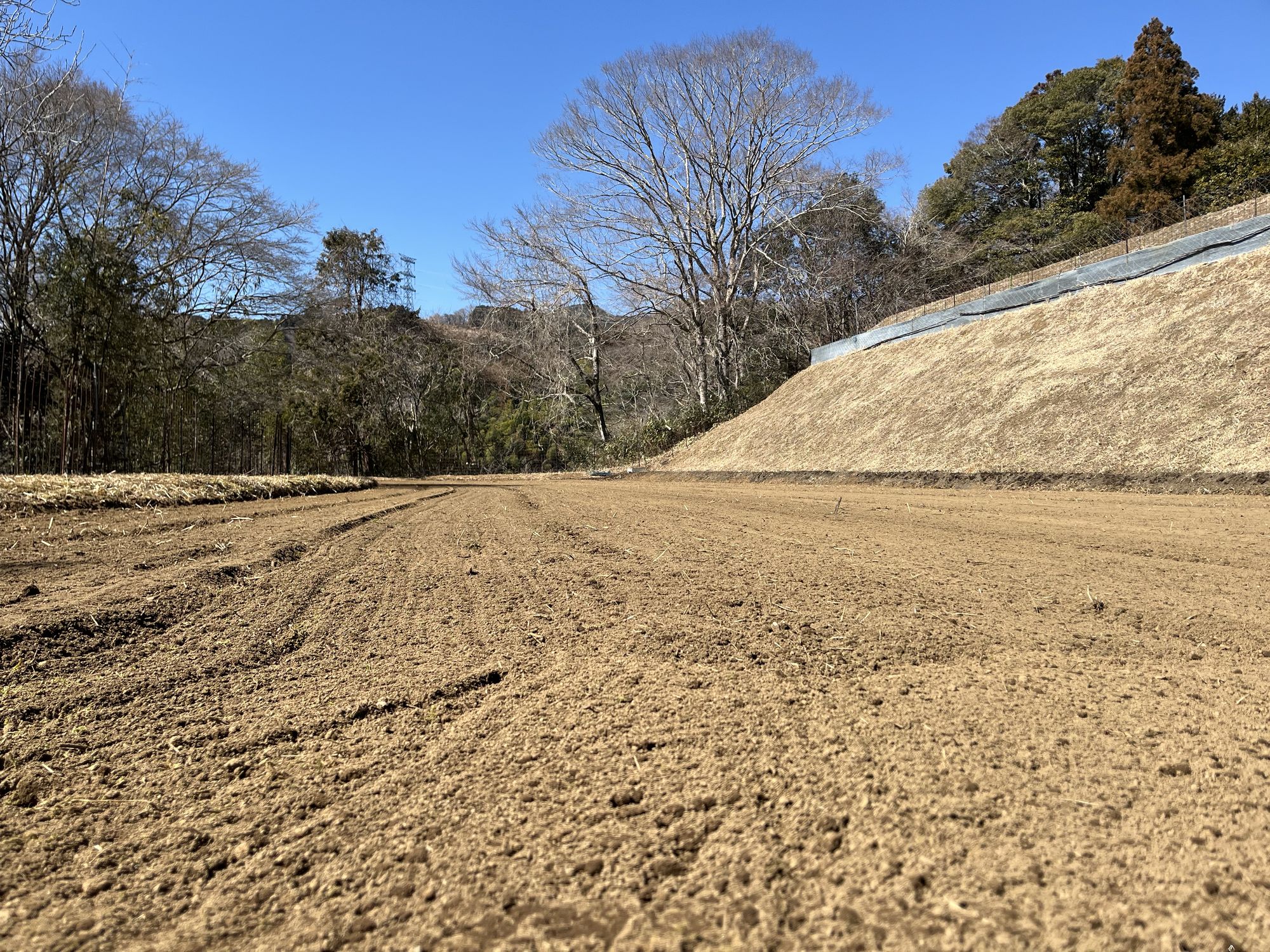 開墾した畑